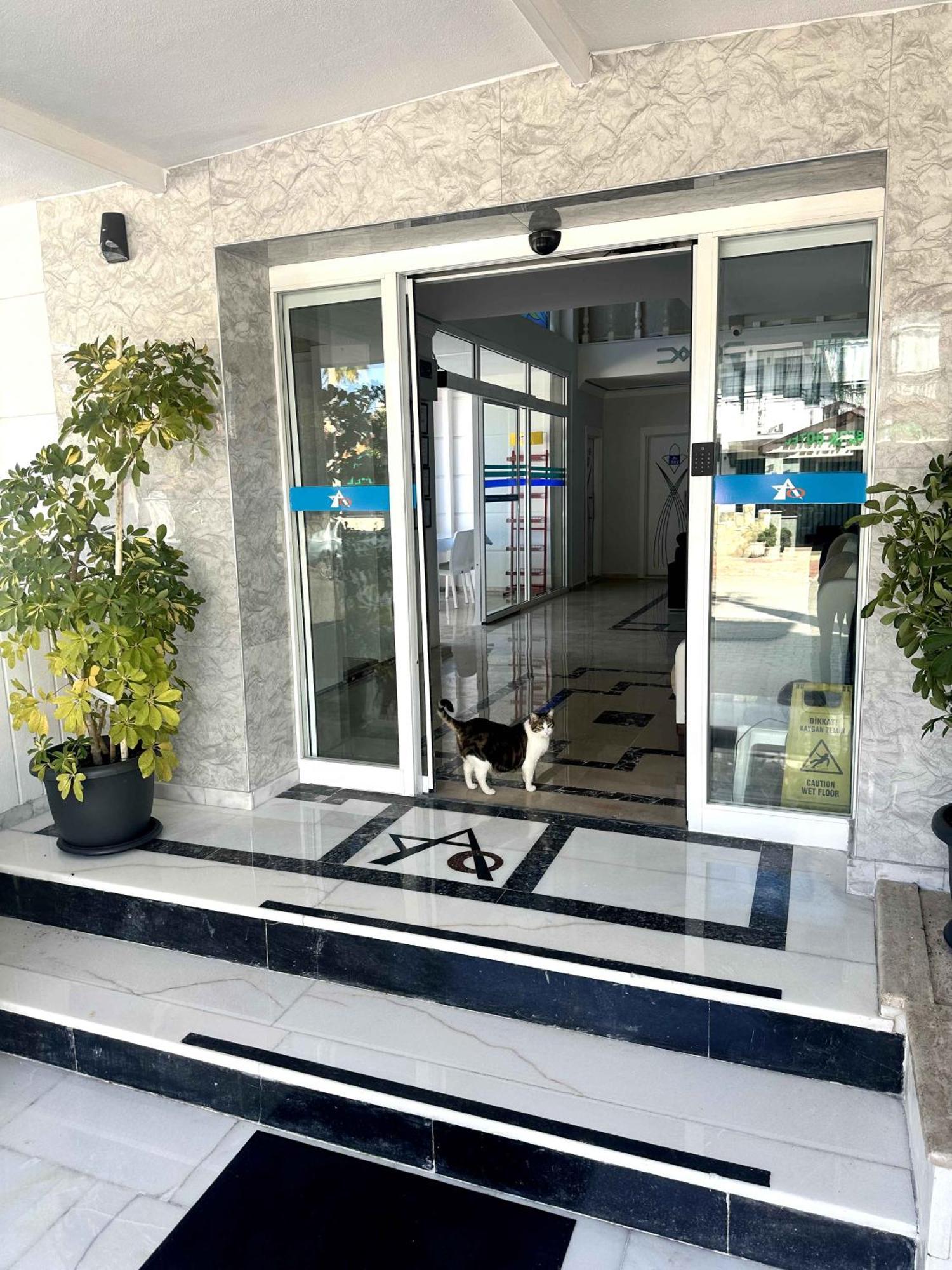 Amsterdam Otel Economic Room كمر المظهر الخارجي الصورة